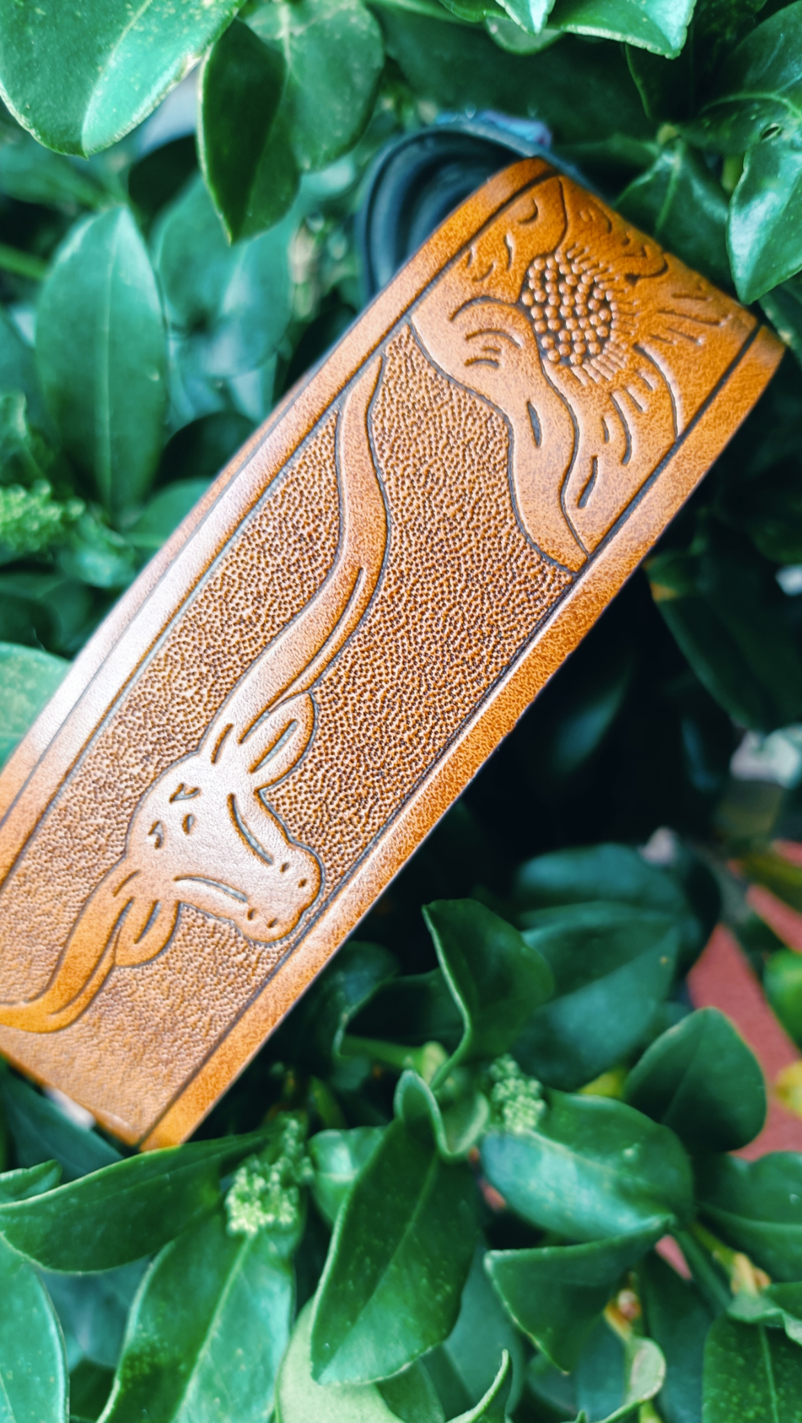 Wendy's Western Riem Bull