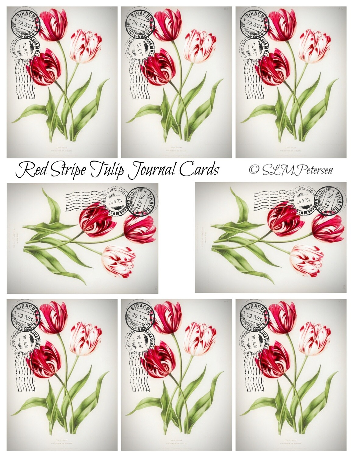 Red Stripe Tulip Journal Cards - PDF
