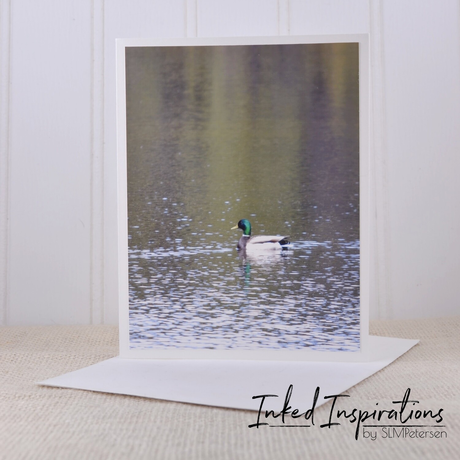 Mallard Duck- Original Photography