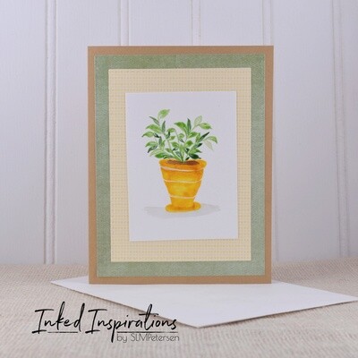 Philodendron - Yellow Pot