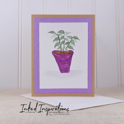 Philodendron - Magenta Pot