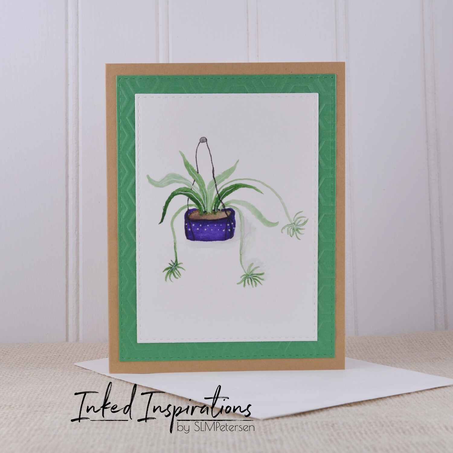 Spider Plant - Purple Pot