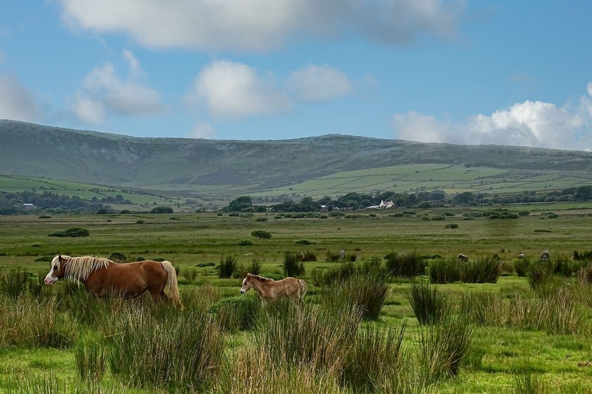 "Gors Fawr, Preseli", Sir Benfro (Pembrokeshire)