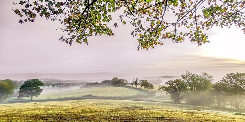 Niwl yr Hydref, Llanglydwen, Sir Gaerfyrddin