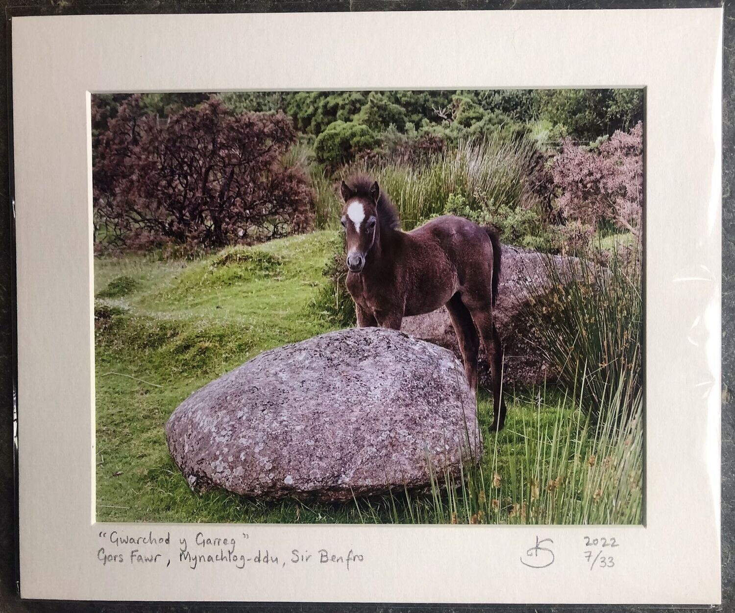 "Gwarchod y Garreg" – Gors Fawr Mynachlog-ddu, Sir Benfro.