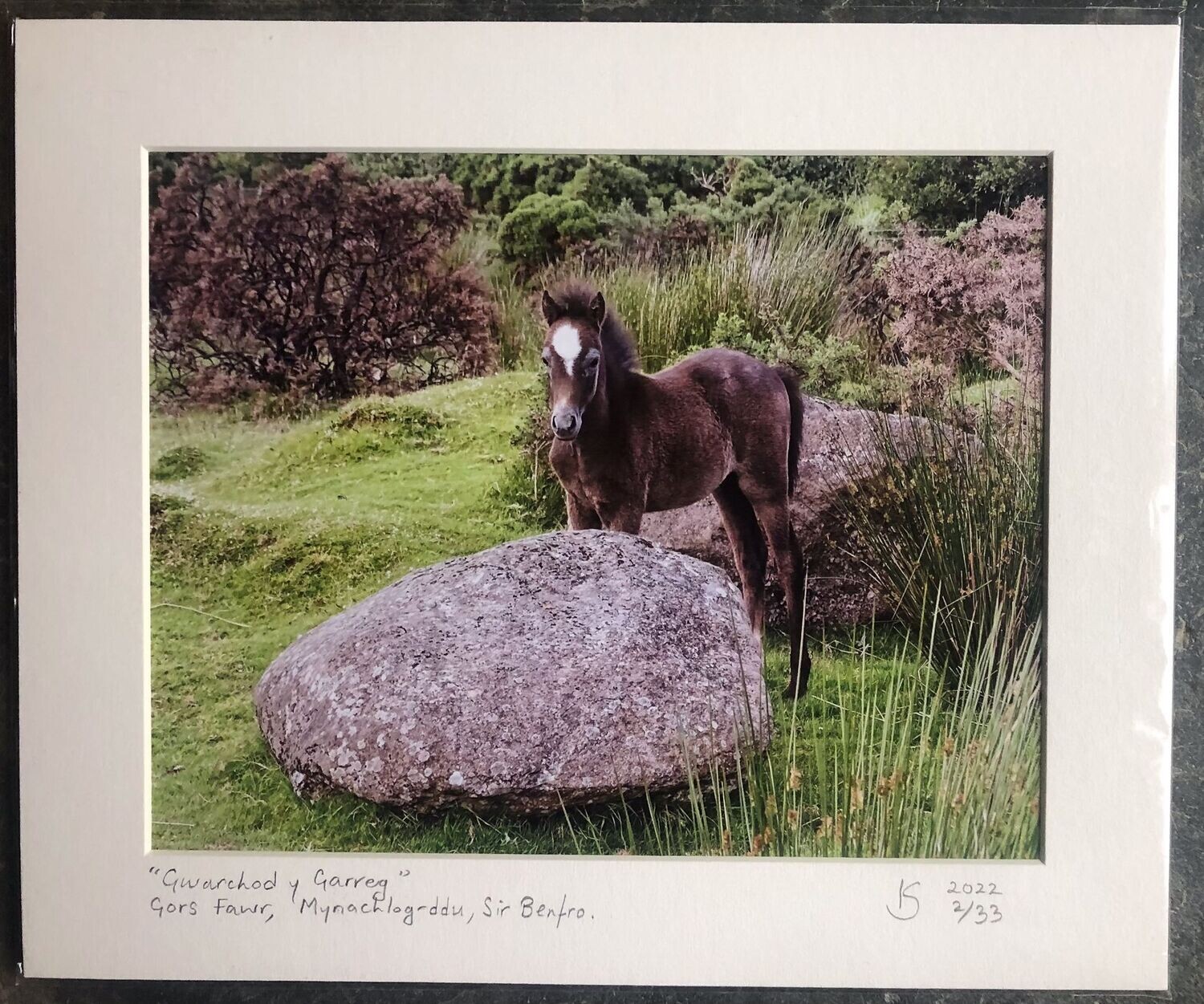 "Gwarchod y Garreg" – Gors Fawr Mynachlog-ddu, Sir Benfro.