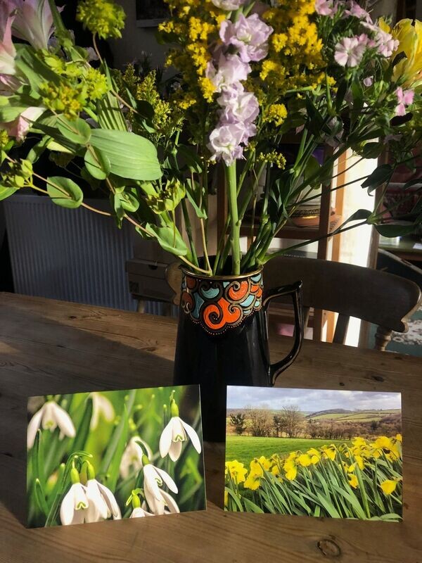 Signs of Spring - Six Cards for £10