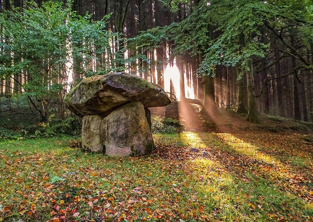 "Awen" ("Inspiration") - Gwal y Filiast Cromlech, ger Llanglydwen, Sir Gaerfyrddin (Carmarthenshire)