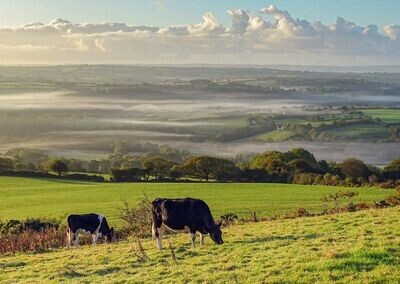 Carmarthenshire