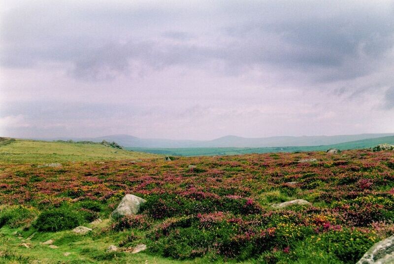 "Golygfa Carningli" ("Carningli View"), Trefdraeth (Newport, Pembrokeshire)