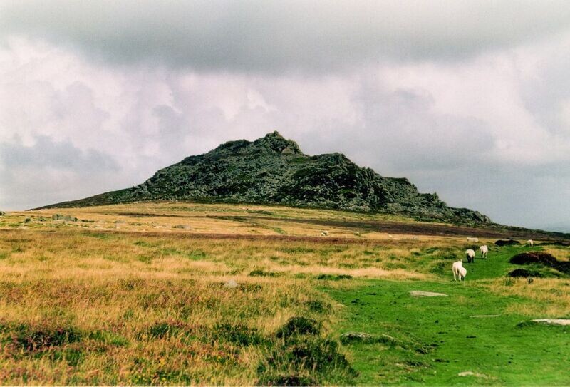"Llwybr i Ben Mynydd Carningli" ("Path to the top of Carningli"), Trefdraeth (Newport, Pembrokeshire)