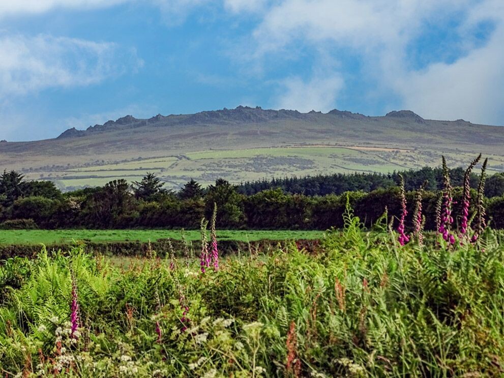 "Carn Menyn" ("Butter Carn"), Preseli, Sir Benfro