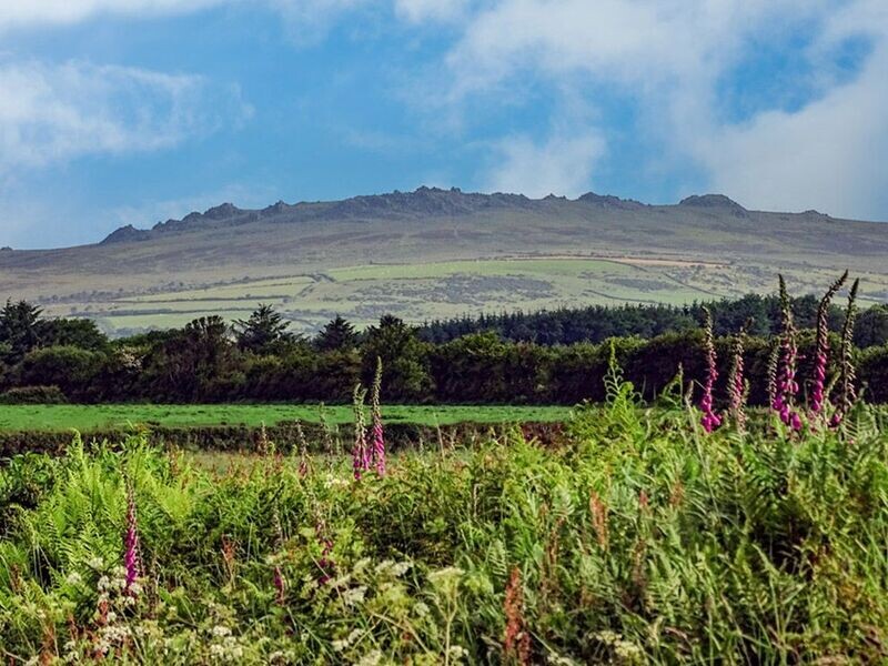 "Carn Menyn" ("Butter Carn"), Preseli, Sir Benfro