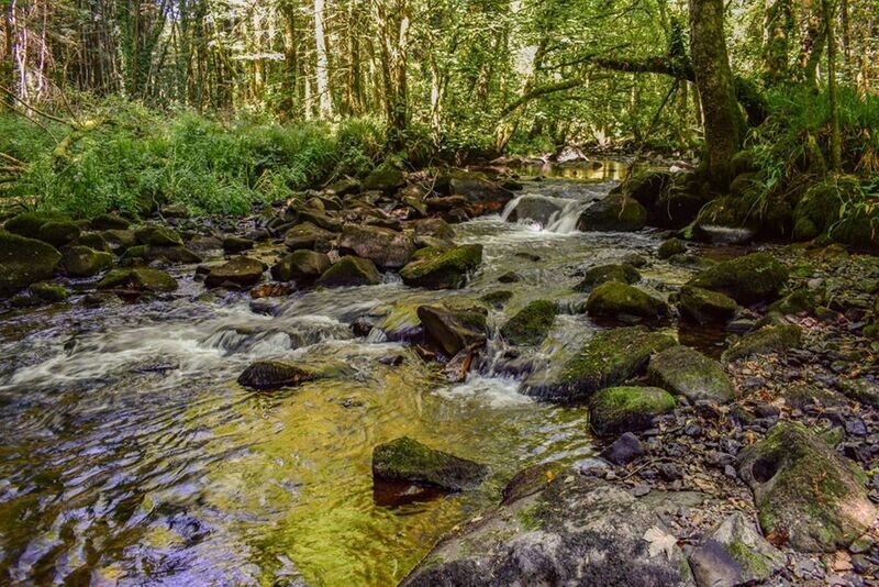 "Afon Taf" (River Taf), ger Hendy Gwyn (near Whitland), Sir Gaerfyrddin