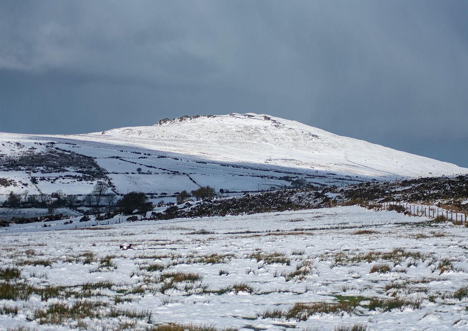 Mynydd Preseli Christmas/Birthday/Winter Cards - FOEL DRYGARN