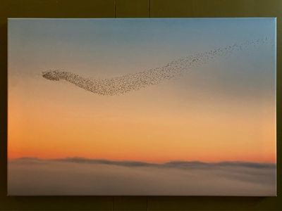 NEW! Canvas prints 60 x 40cm