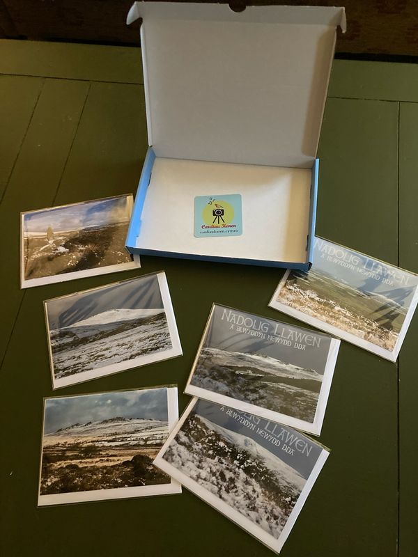 Mynydd Preseli Nadolig Llawen/Winter Cards - Box of 6