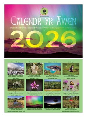 A3 Wall Calendar (in Welsh and English)