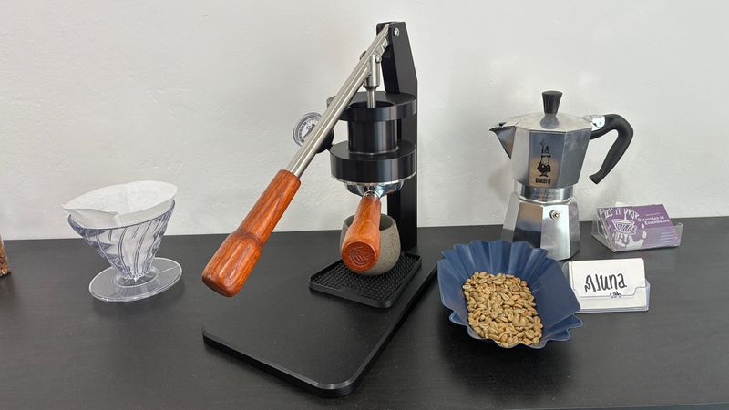 Walnut Set of Handles M10 and M12