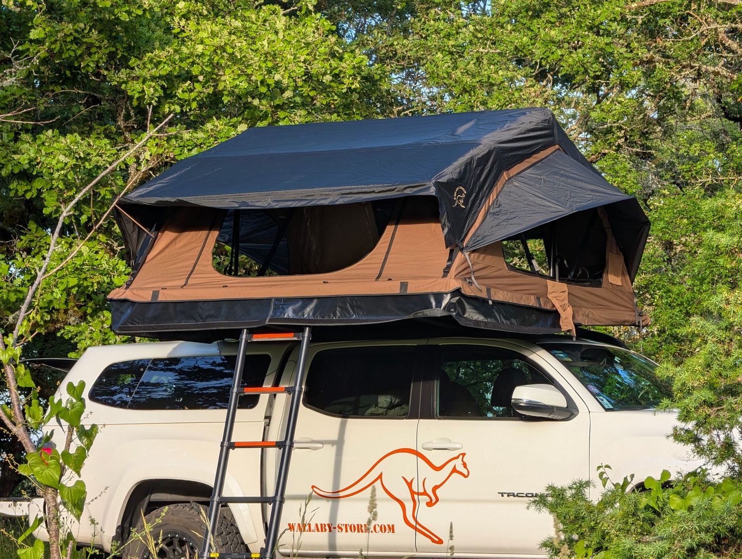 Tente WALLABY ALUCAMP