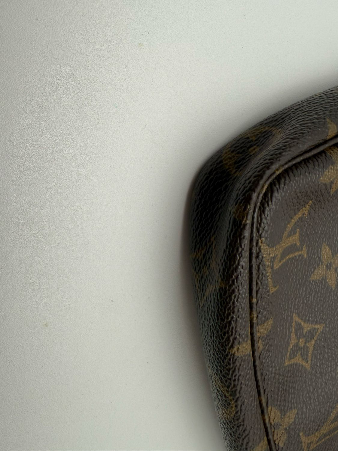 Louis Vuitton Pochette Monogram Accesories