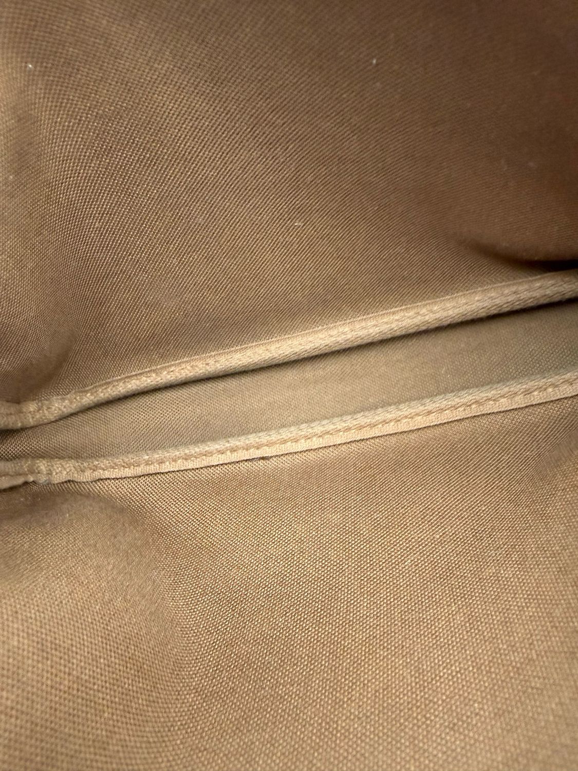Louis Vuitton Pochette Monogram Accesories