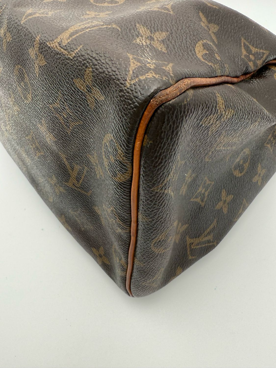Louis Vuitton Speedy 25 Monogram