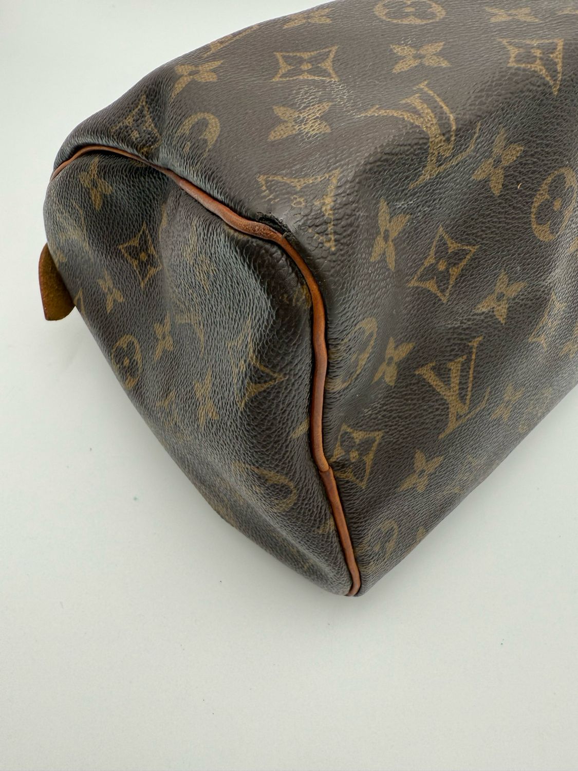 Louis Vuitton Speedy 25 Monogram