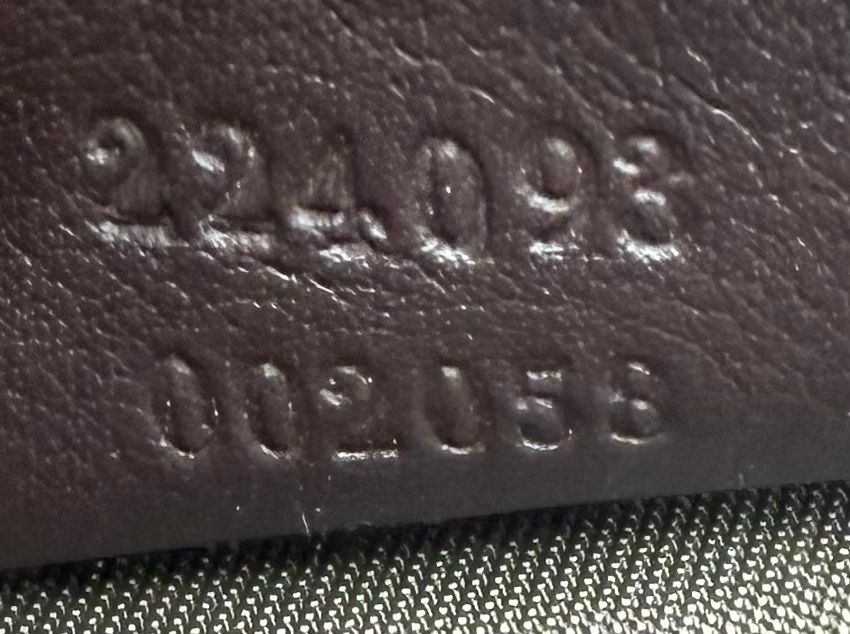 Gucci Monogram Canvas Pochette Web Zipper Hobo