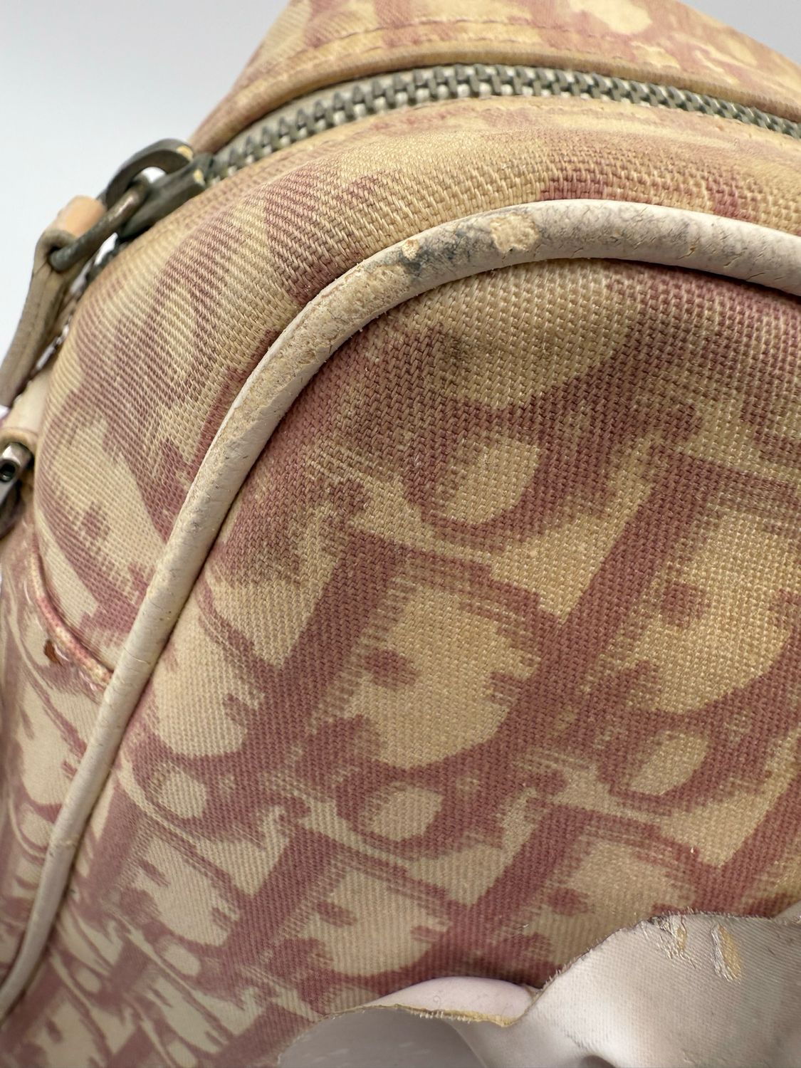 Christian Dior Oblique Messenger Bag Girly Flowers