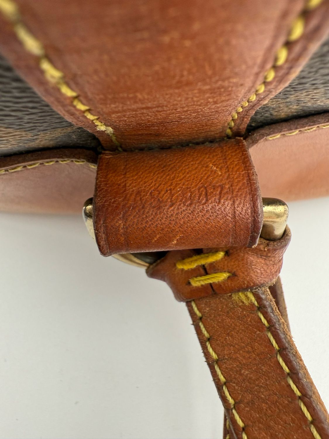 Louis Vuitton Randonnee Gm Backpack