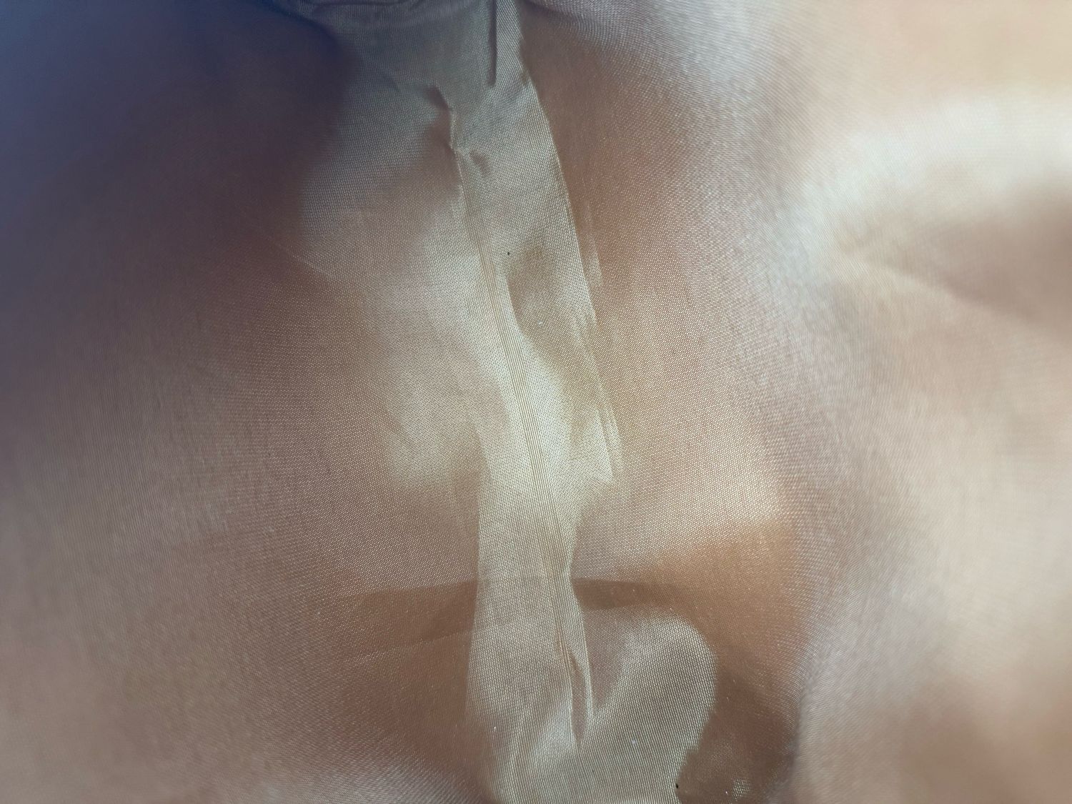 Gucci Supreme Ophidia Camera Bag Sling Web Crossbody