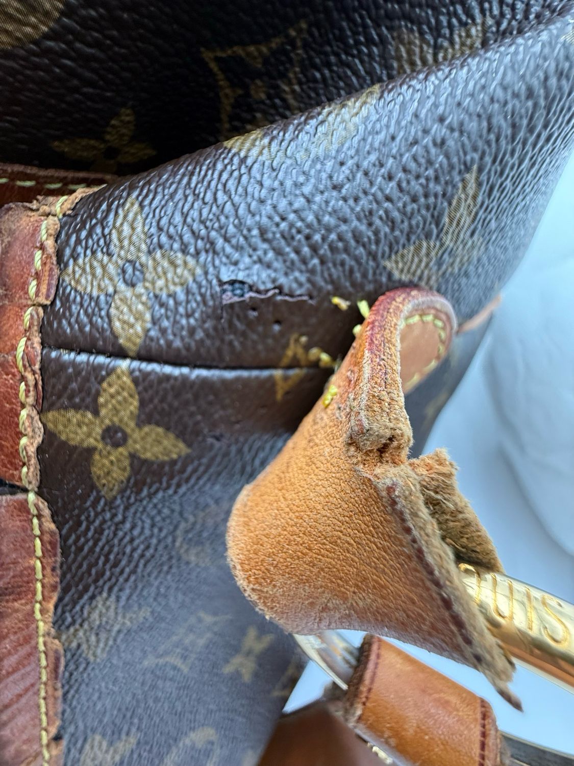 Louis Vuitton Delightful MM
