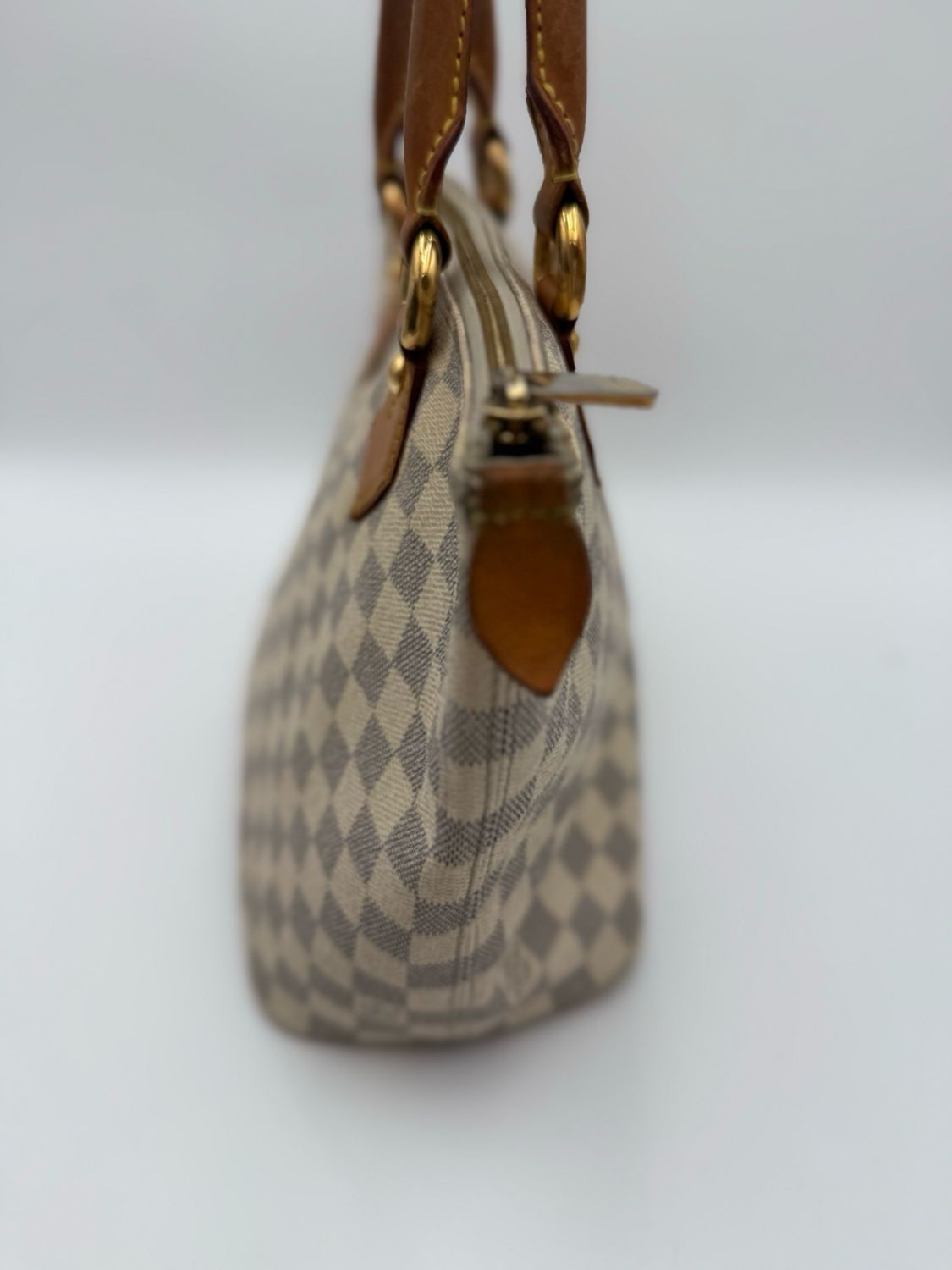 Louis Vuitton Damier Ebene Saleya PM