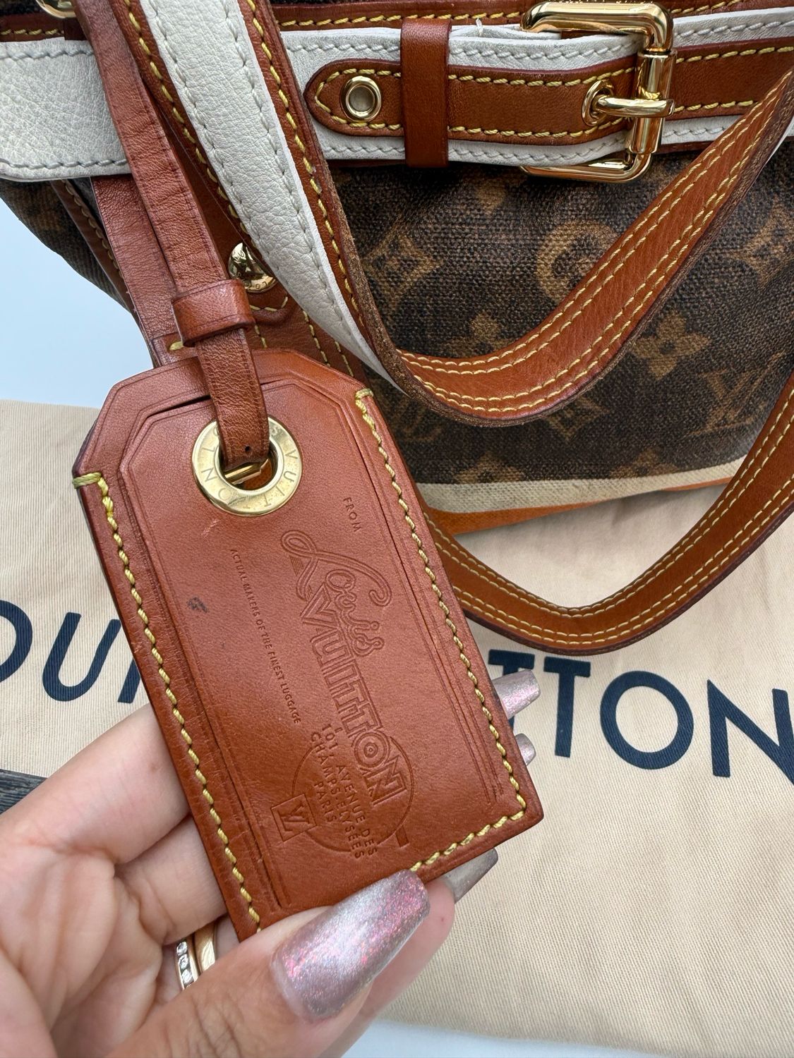 Louis Vuitton Monogram Tisse Sac Rayures PM Tote Shoulder Bag