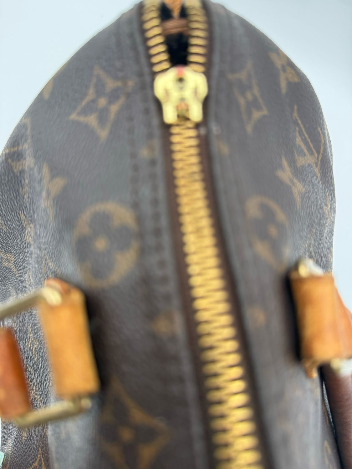 Louis Vuitton Speedy 30 Project