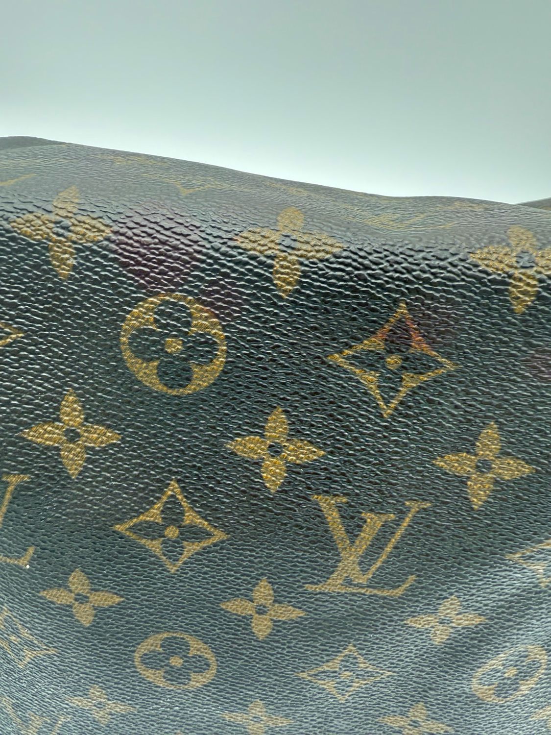 Louis Vuitton Speedy 30 Project