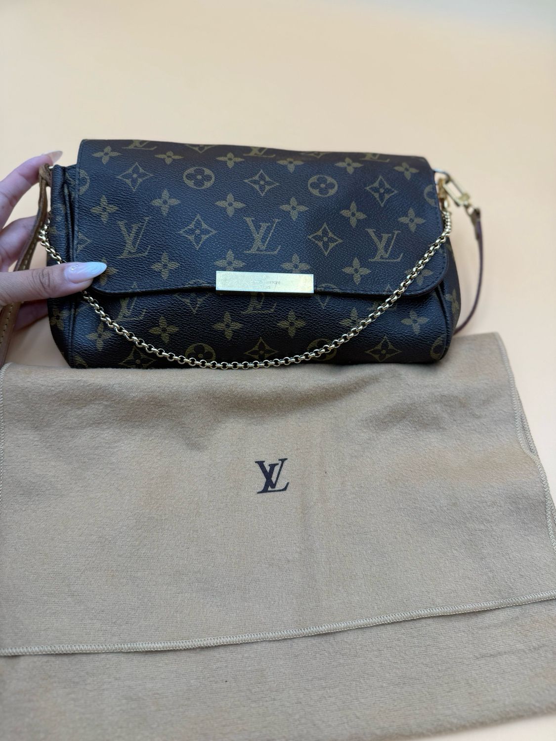 Louis Vuitton Monogram Favorite Mm Flap Clutch Crossbody