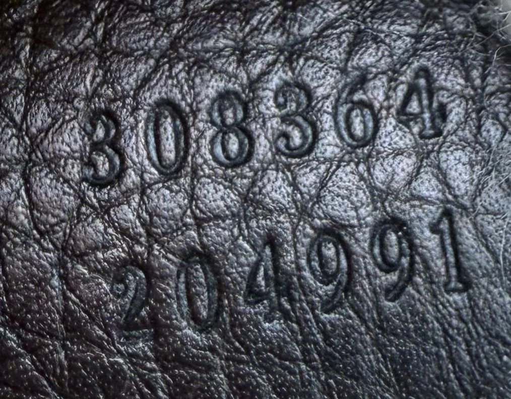 Gucci Pebbled Leather Soho Disco Camera Bag