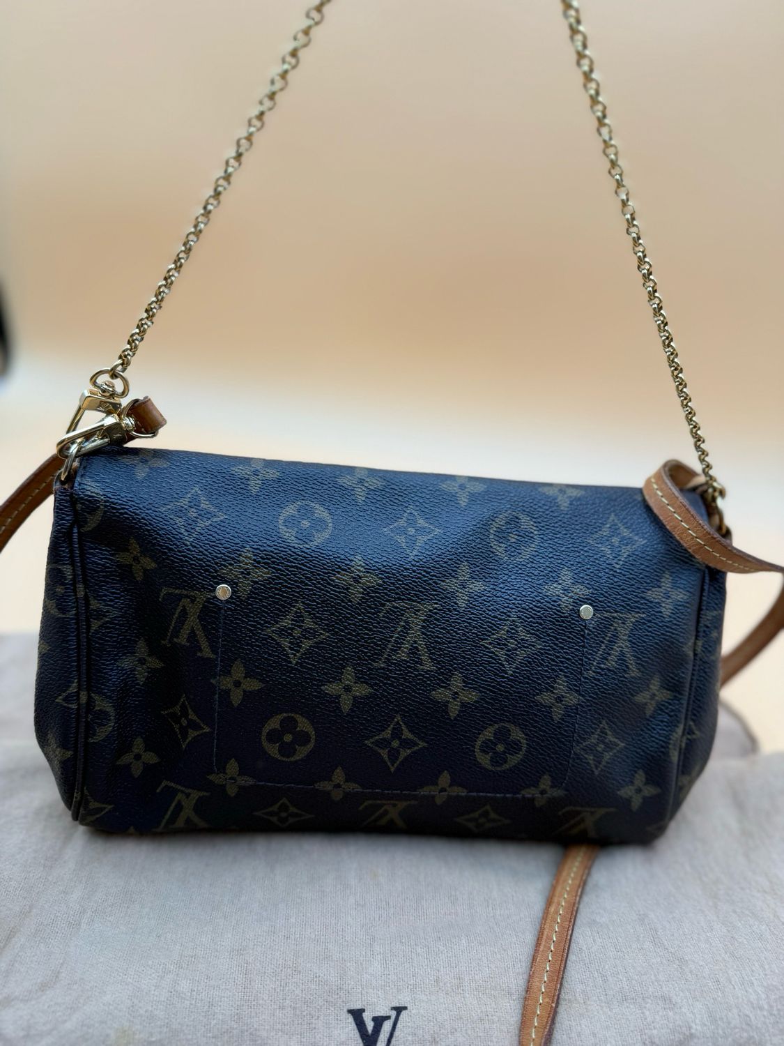 Louis Vuitton Favorite Mm Monogram Crossbody