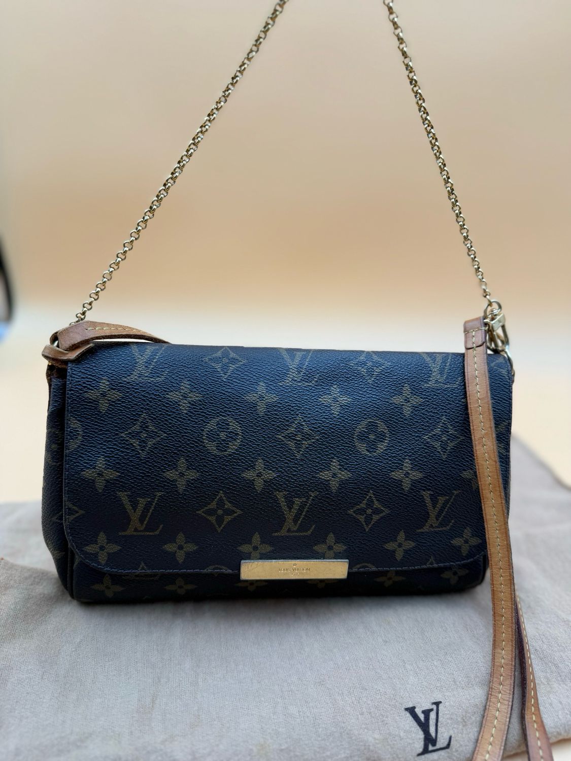 Louis Vuitton Favorite Mm Monogram Crossbody