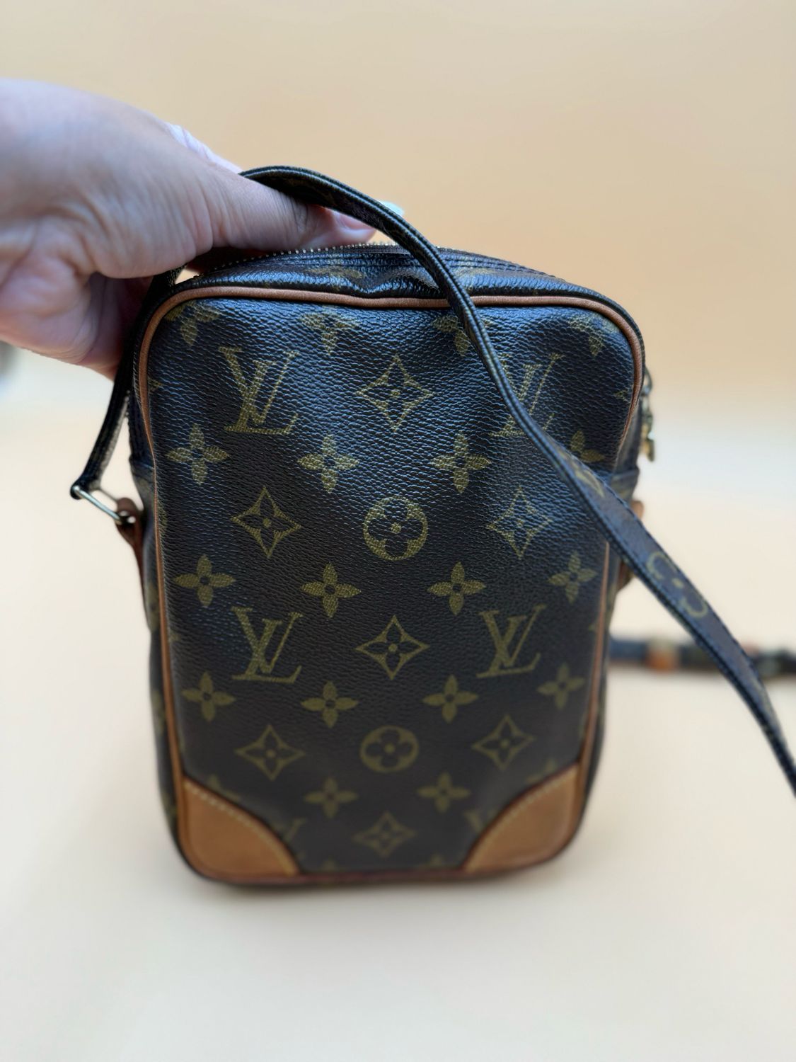 Louis Vuitton Monogram Danube Crossbody Messenger Sling