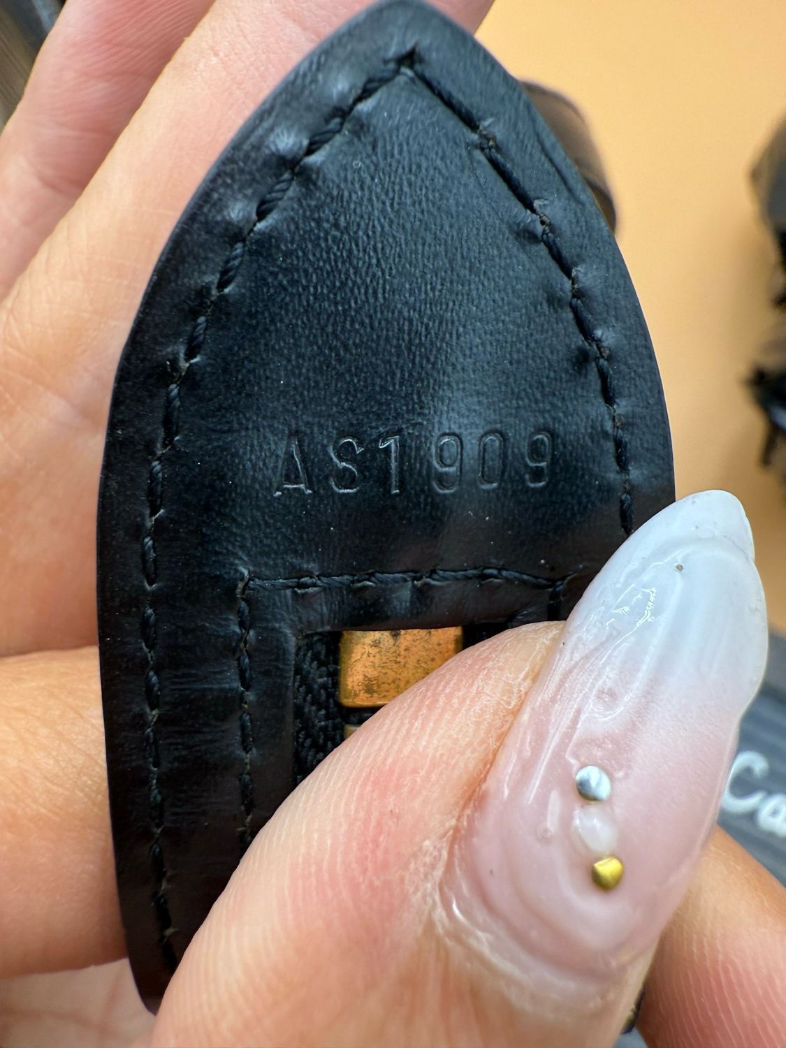Louis Vuitton Saint Jacques Pm Epi Black