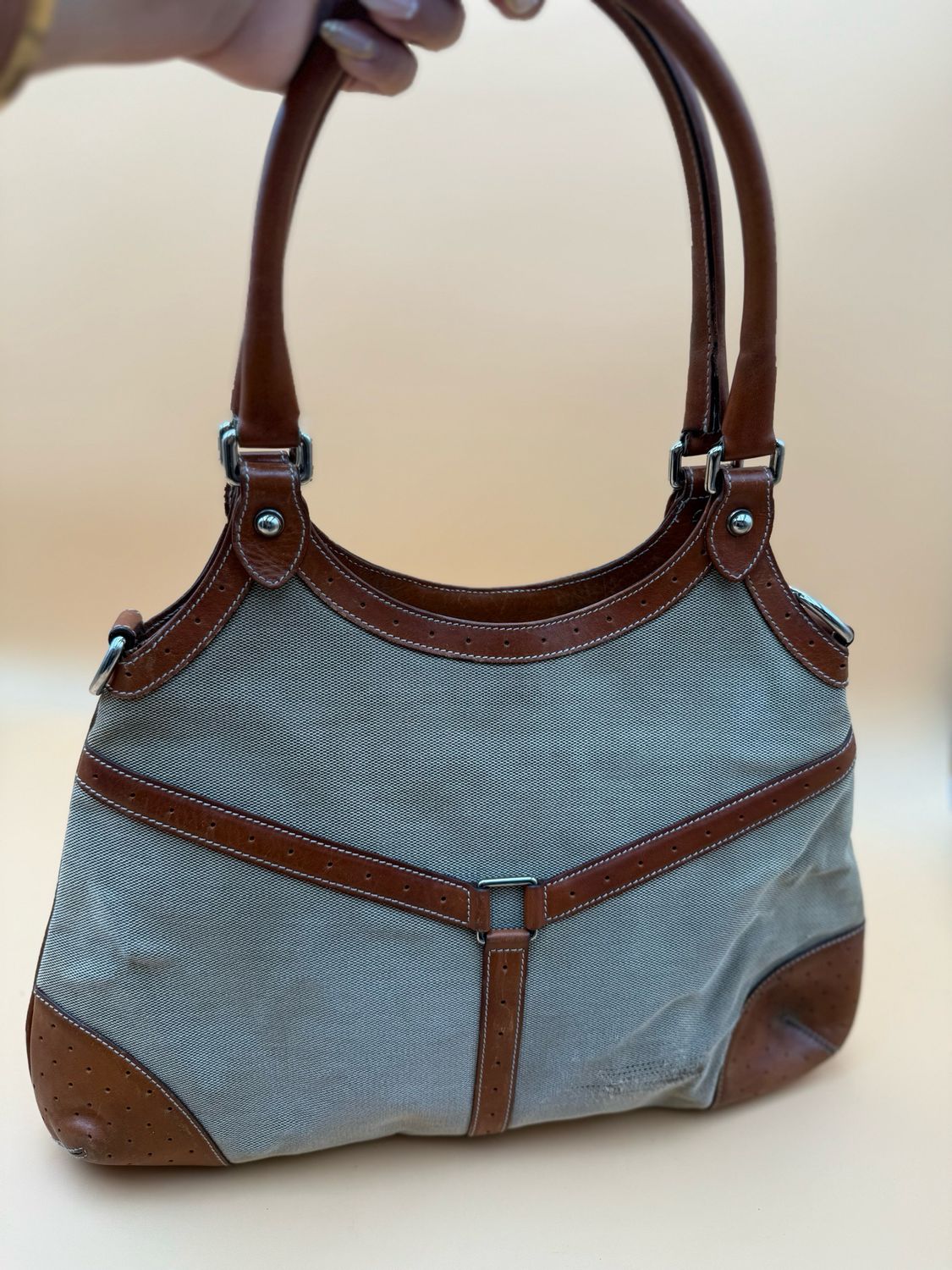 Gucci Canvas Web Reins Tote Shoulder Bag