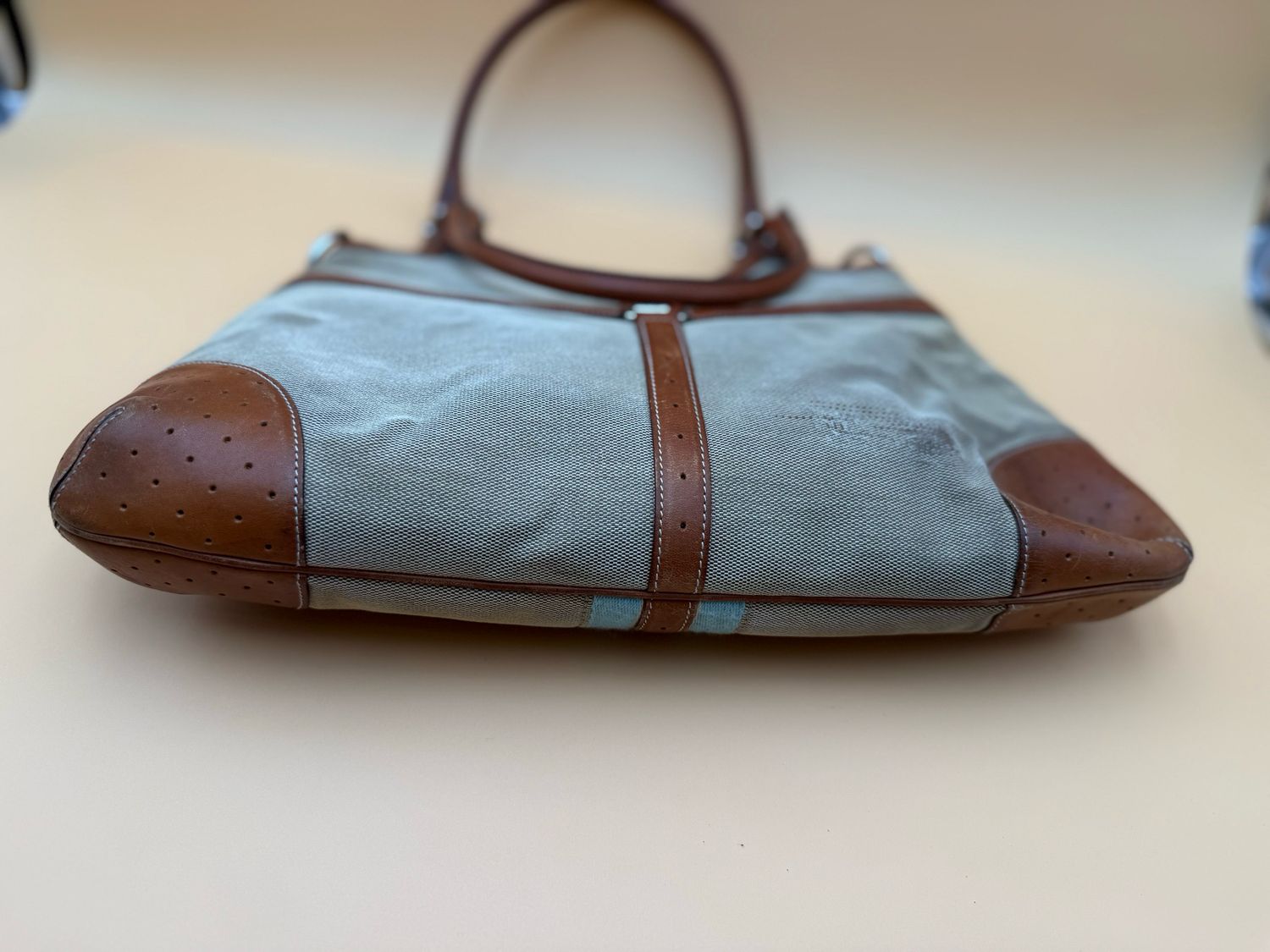 Gucci Canvas Web Reins Tote Shoulder Bag