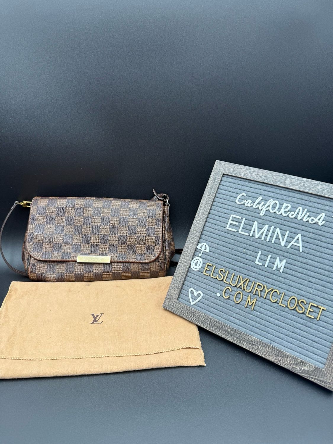 Louis Vuitton Damier Ebene Favorite Mm
