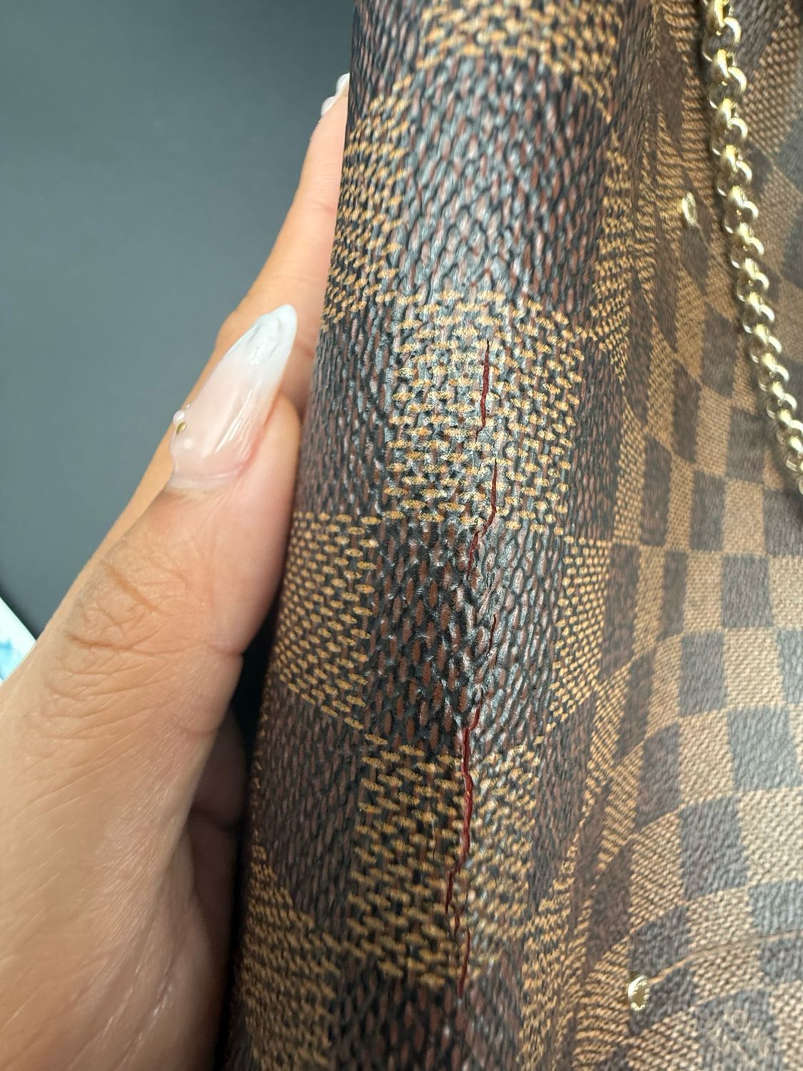 Louis Vuitton Damier Ebene Favorite Mm