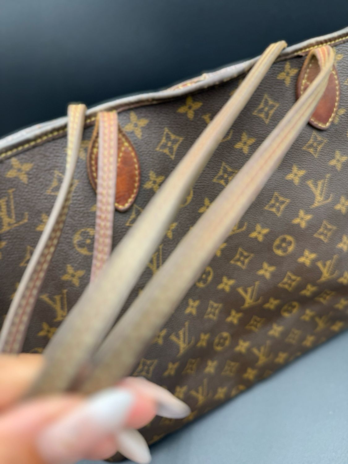 Louis Vuitton Monogram Neverfull Gm Project