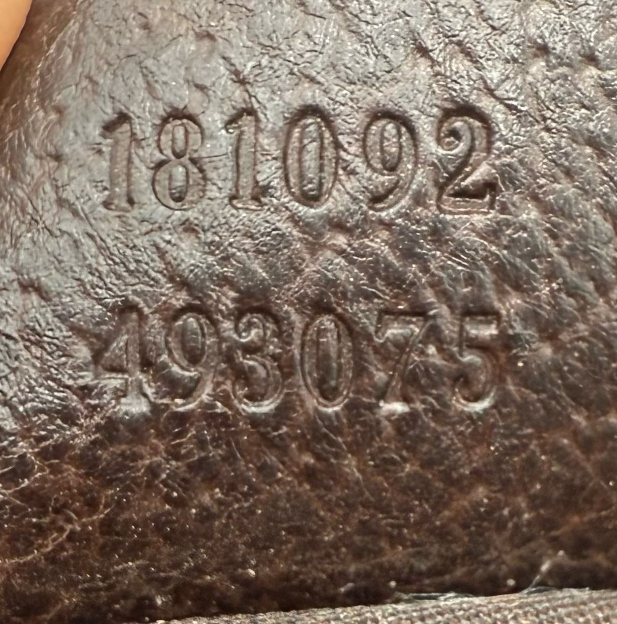 Gucci Halfmoon Web Strap Messenger Crossbody