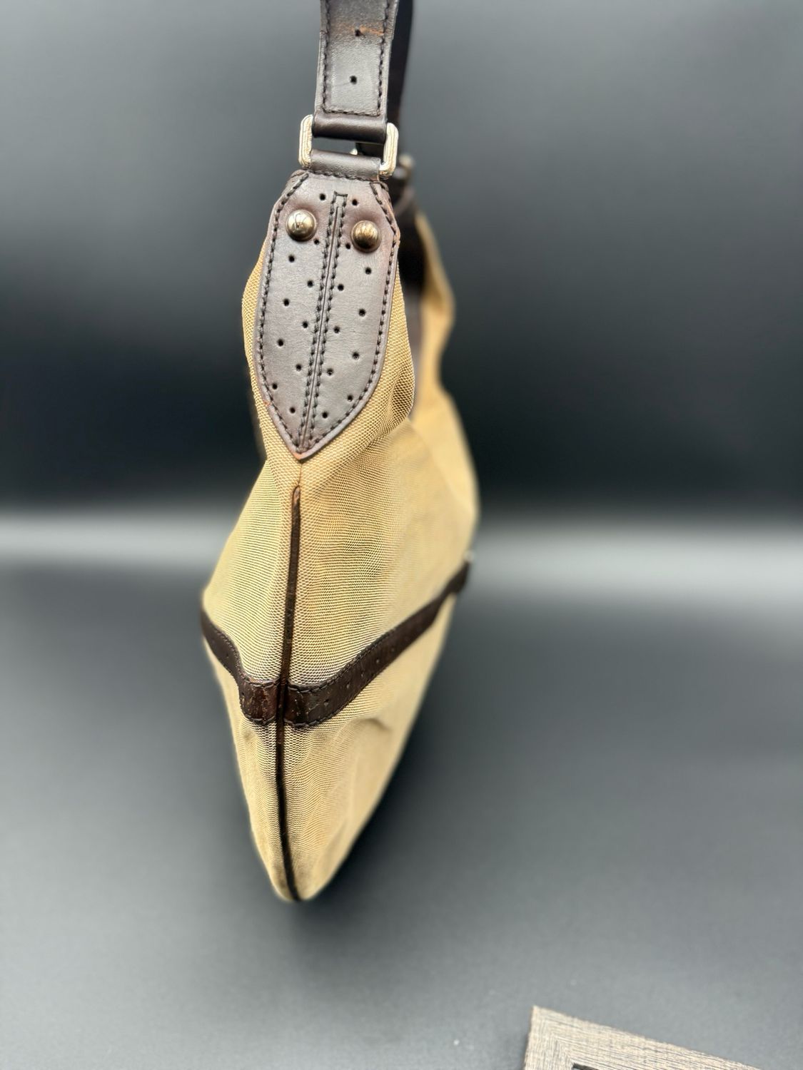 Gucci Canvas Web Reins Hobo Shoulder Large